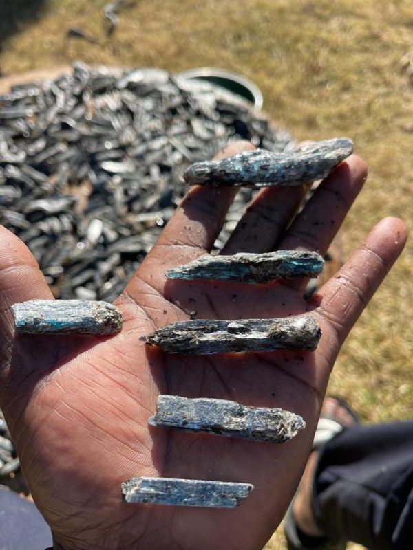 natural blue kyanite blades – raw crystal wands from mutoko, zimbabwe